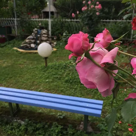 Design Garden *