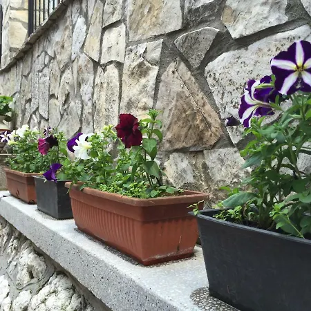 Design Garden * Sarajevo